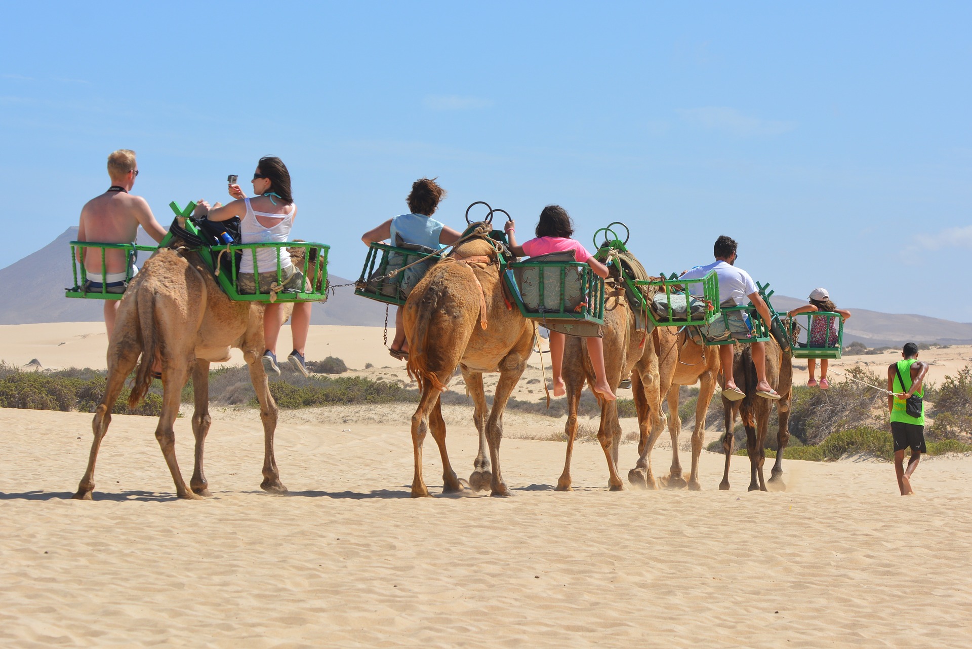 This camel tour is an example of extreme use of these animals.