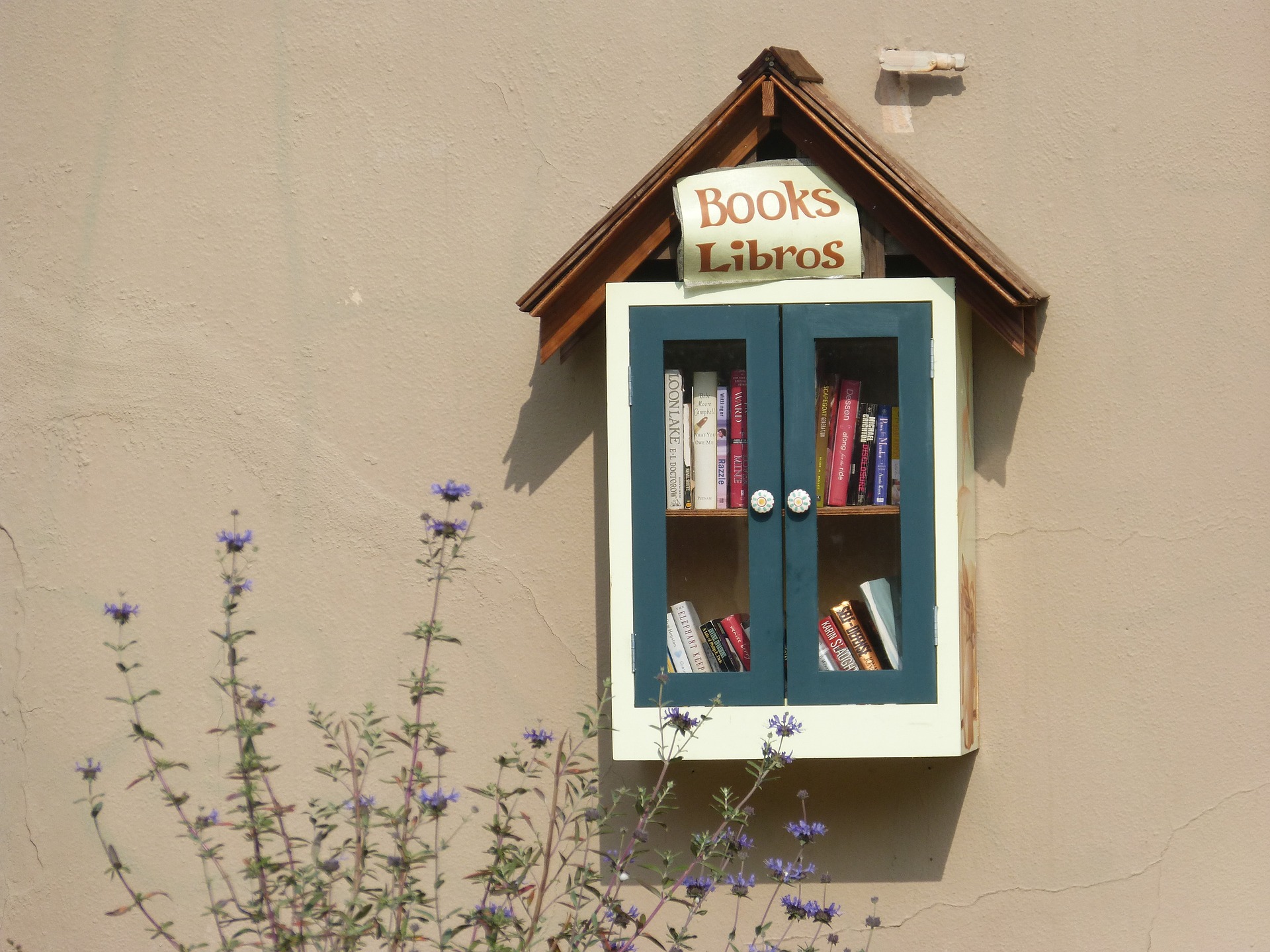 A free little library