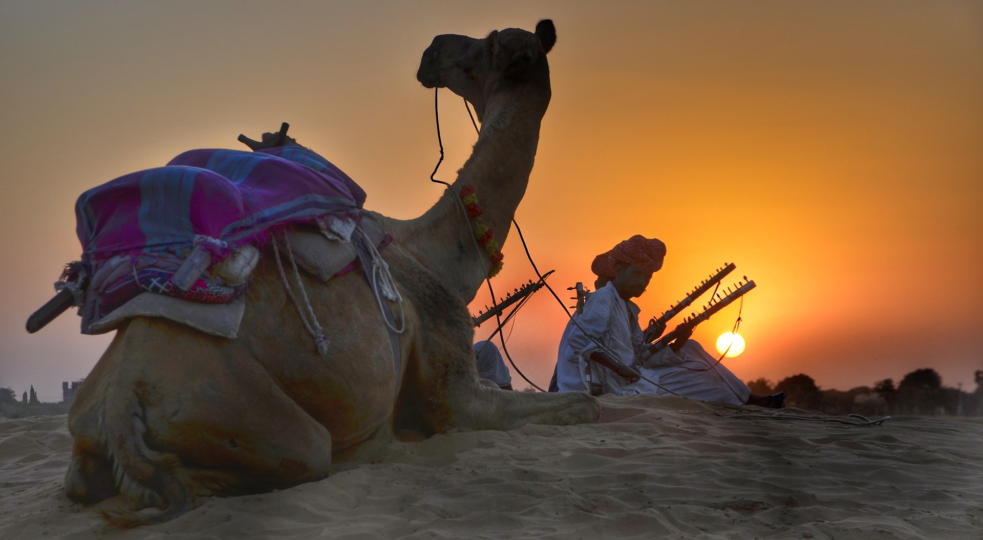 Desert of Rajasthan with camel at sunset.