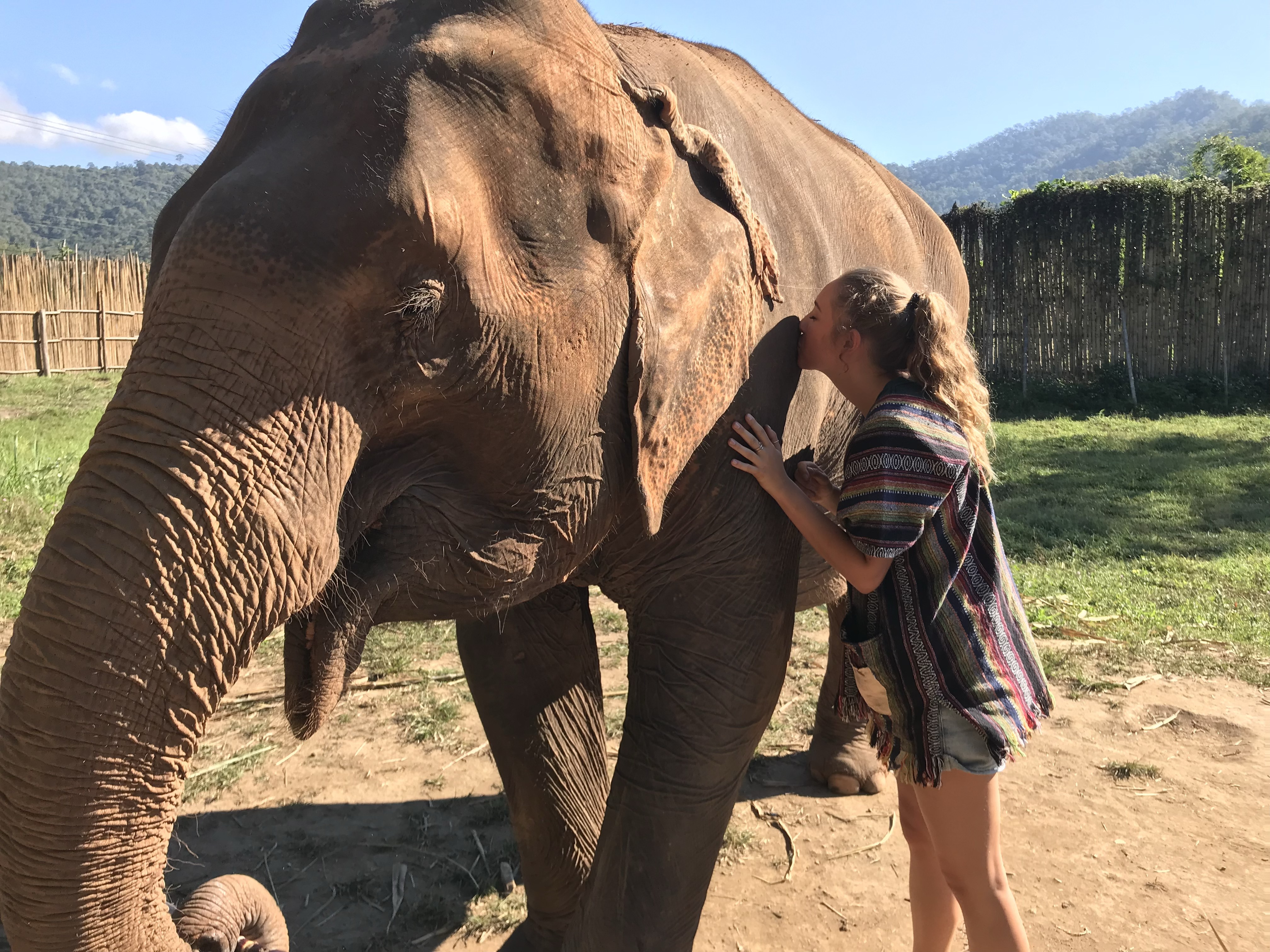 Eco-tourism Author Chelsea Wiersma with elephant friend at a reserve.