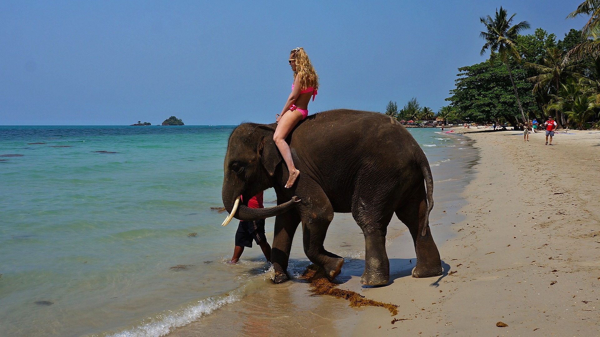 South East Asia Riding elephant at sea in Thailand