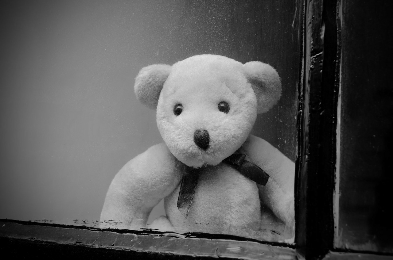 Teddy Bear in window