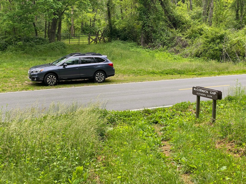 Road Trip on the Skyline Drive in Shenandoah National Park VA. Photo: Terri Holder