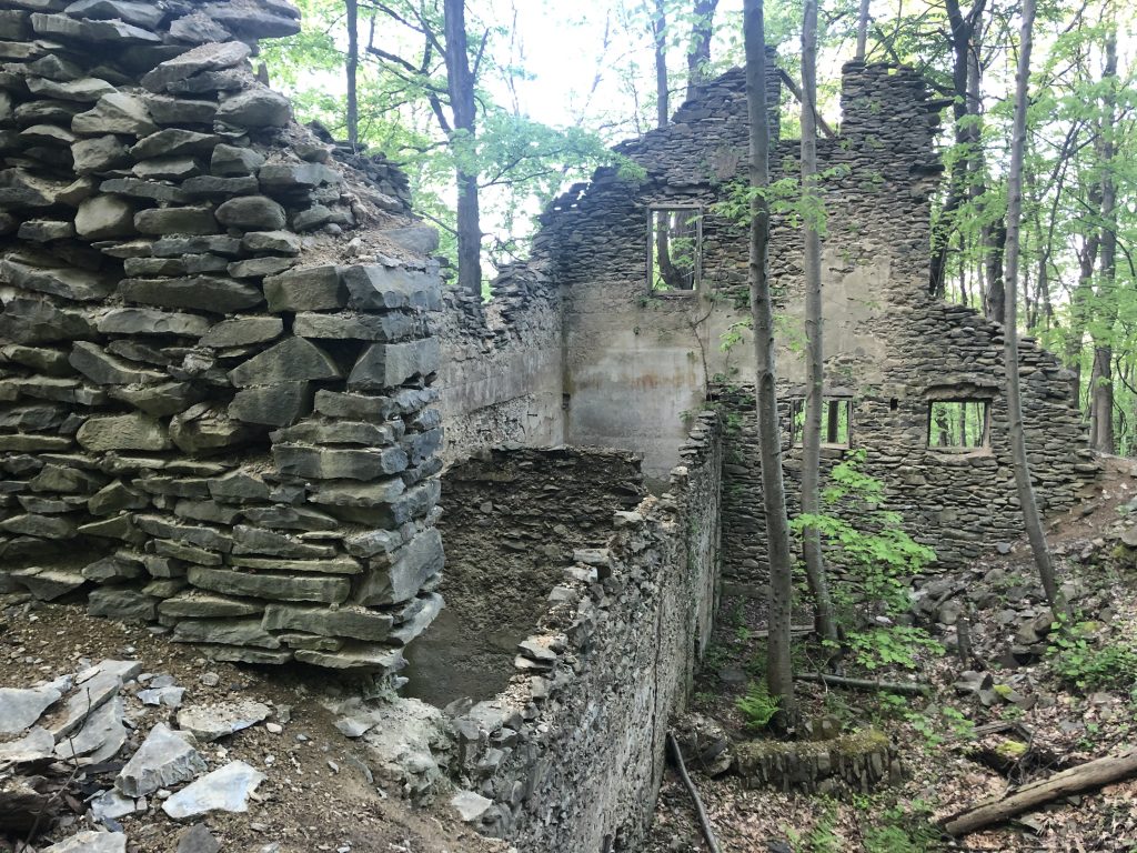 NY Ruins in Franny Reese State Park. Photo: Terri Marshall