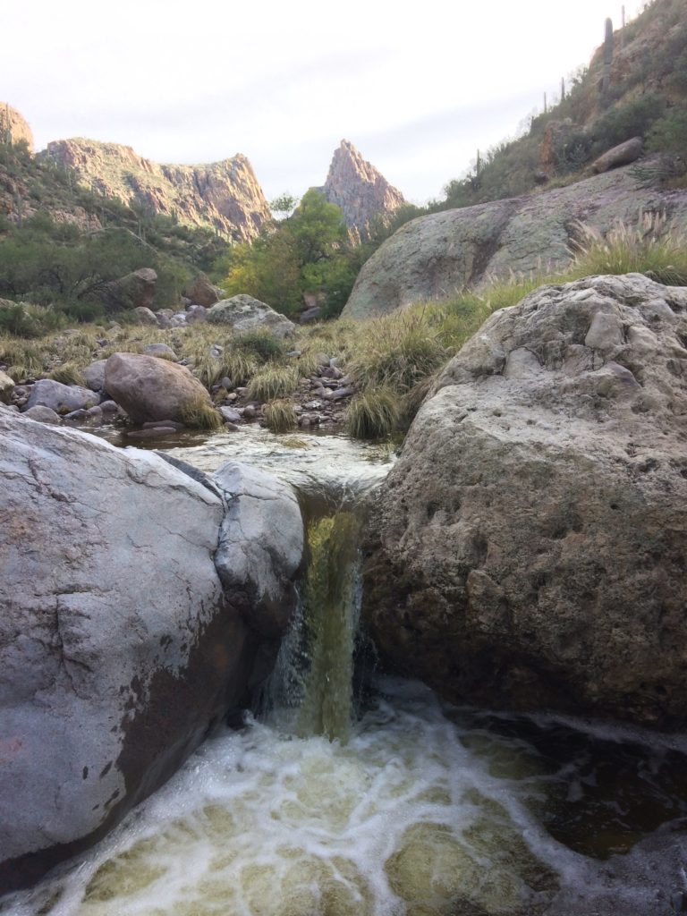 Waterfall in Superstitions photo by Breana Johnson