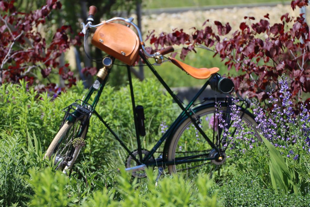 Bike in a field