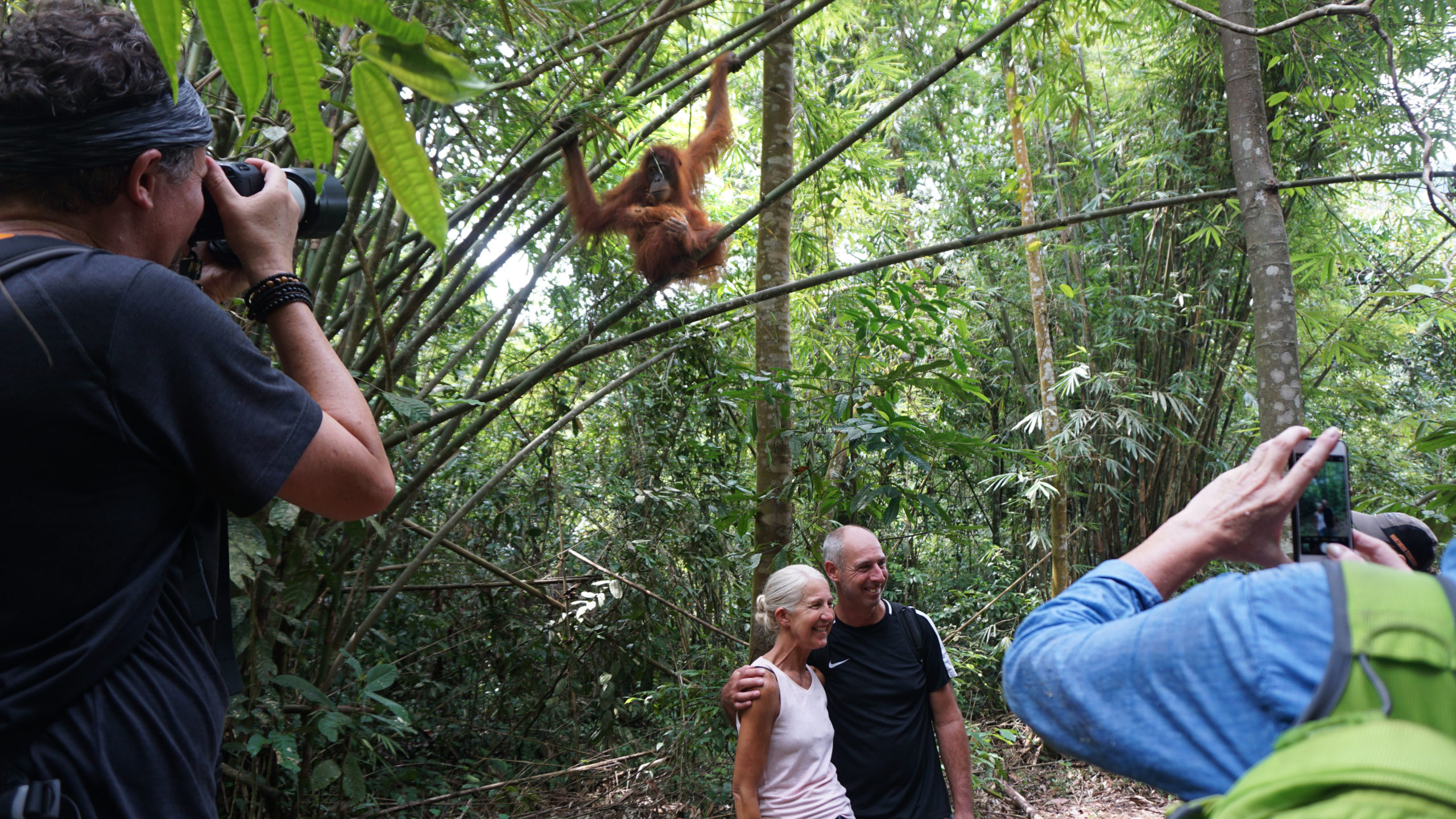 Tourists take selfies with an orangutan. Image by Nayla Azmi.