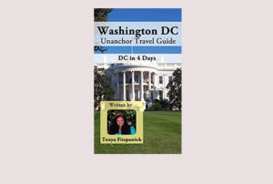 dc travel guide book