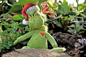 Image of the Grinch