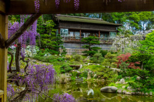 Wisteria Pavilion Upper House at Hakone Estate and Gardens credit Michael Story