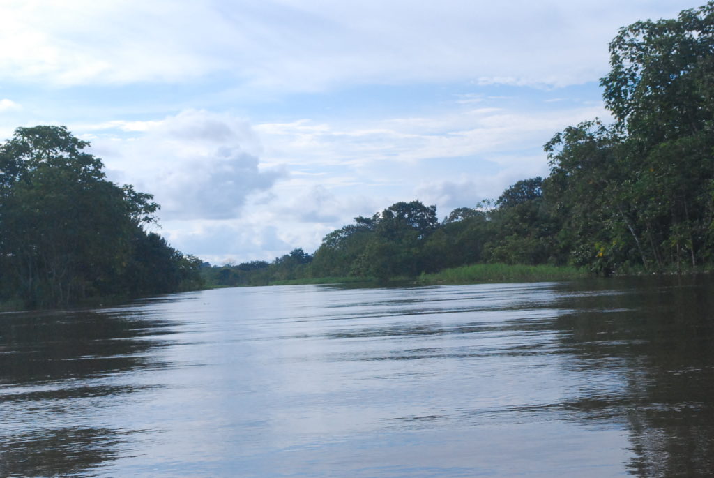 Amazon River. Photo: Tonya Fitzpatrick?