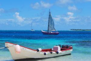 Grenadines | Boats at Tobago Cays. Photo: Tonya Fitzpatrick