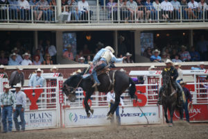 Calgary - Rodeo. Photo: Tonya Fitzpatrick