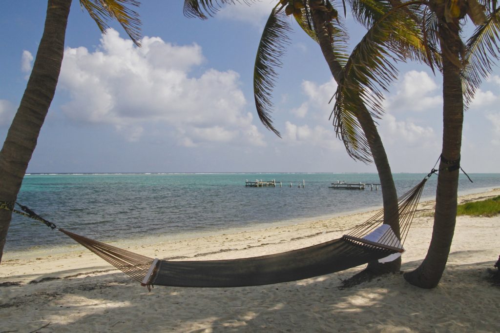Hammock swinging between palm tress on Cayman Island