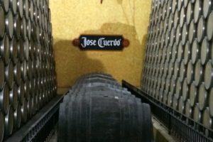 Tequila Inside Jose Cuervo. Photo: Tonya Fitzpatrick