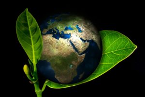 Corporate Social Responsibility | bronze earth