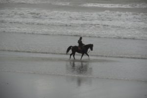 horseback riding beach