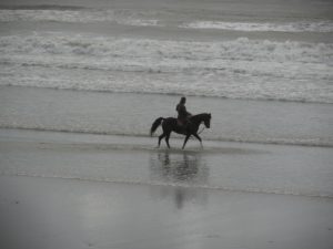 horseback-riding-beach.jpg
