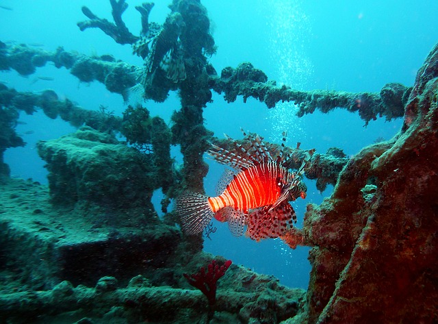 Shipwreck diving in Barbados