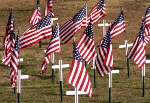 American flags planted for Veterans Day