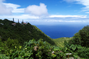 View from above of Saba. The rise on left is the road to Hells Gate.Photo David B. Gleason