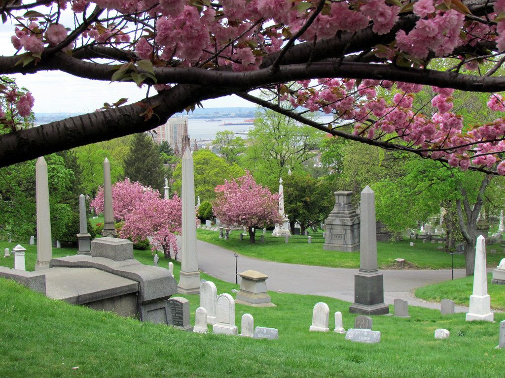 Cherry Blossoms in bloom at Green-Wood Cemetery. Photo: David Berkowitz (CreativeCommons)