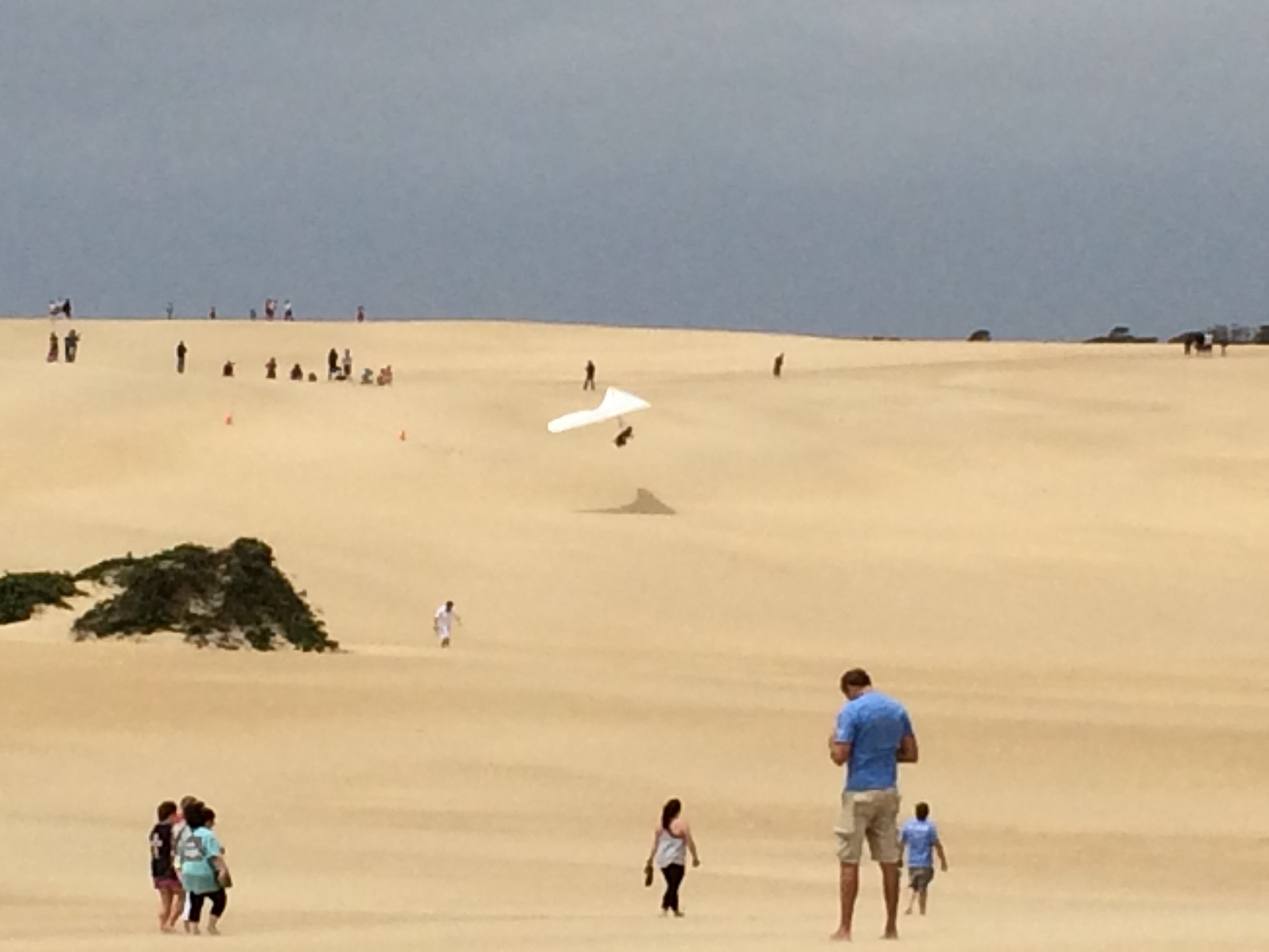 Sand Dunes at the Outer Banks. Photo: Tonya Fitzpatrick