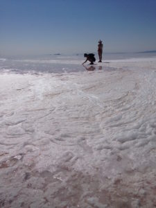 Spiral Jetty Pink Salt Flat. Photo: Emily Amon