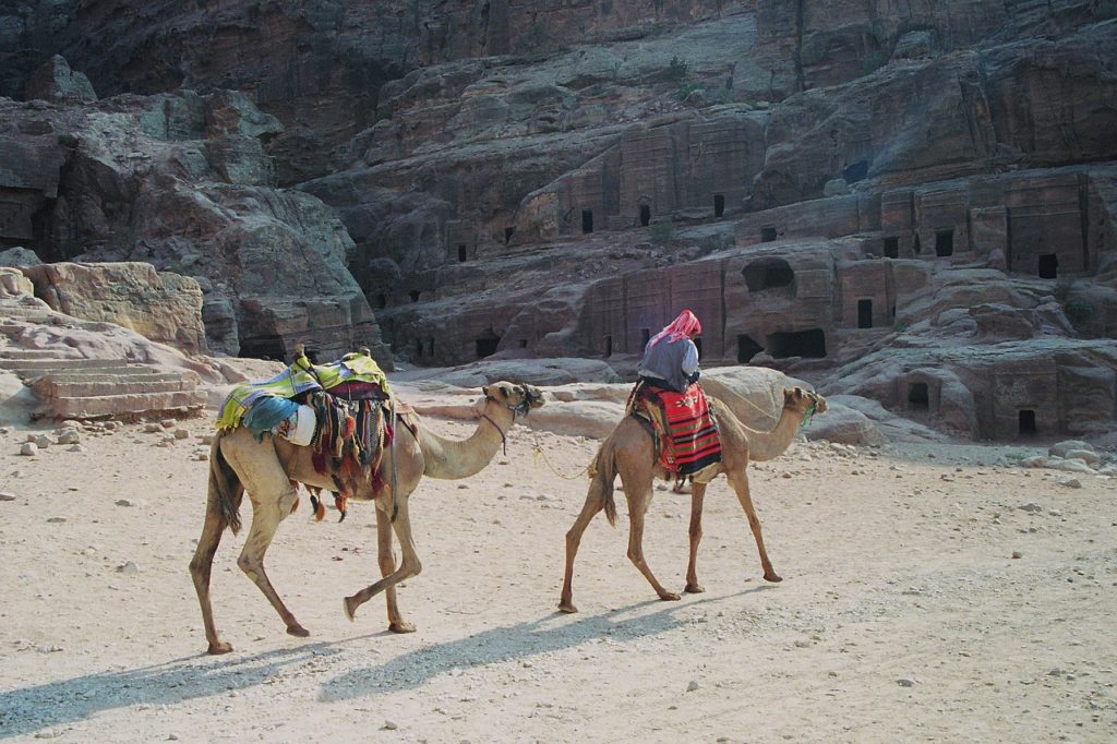 Bedouin on camel in Jordan near Dana Biosphere Reserve.