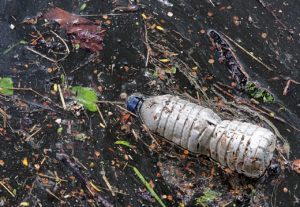 Plastic bottles litter our ocean waters