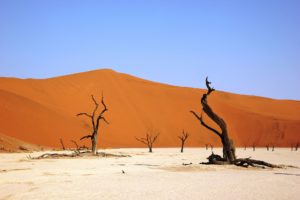 Namibian desert on the African continent.