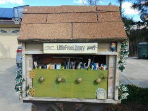 Little free library box. Photo: Breana Johnson