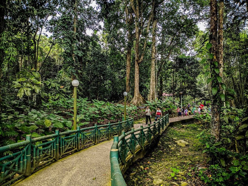 Kinabalu National Park walking trail. Photo: Ziba Redif