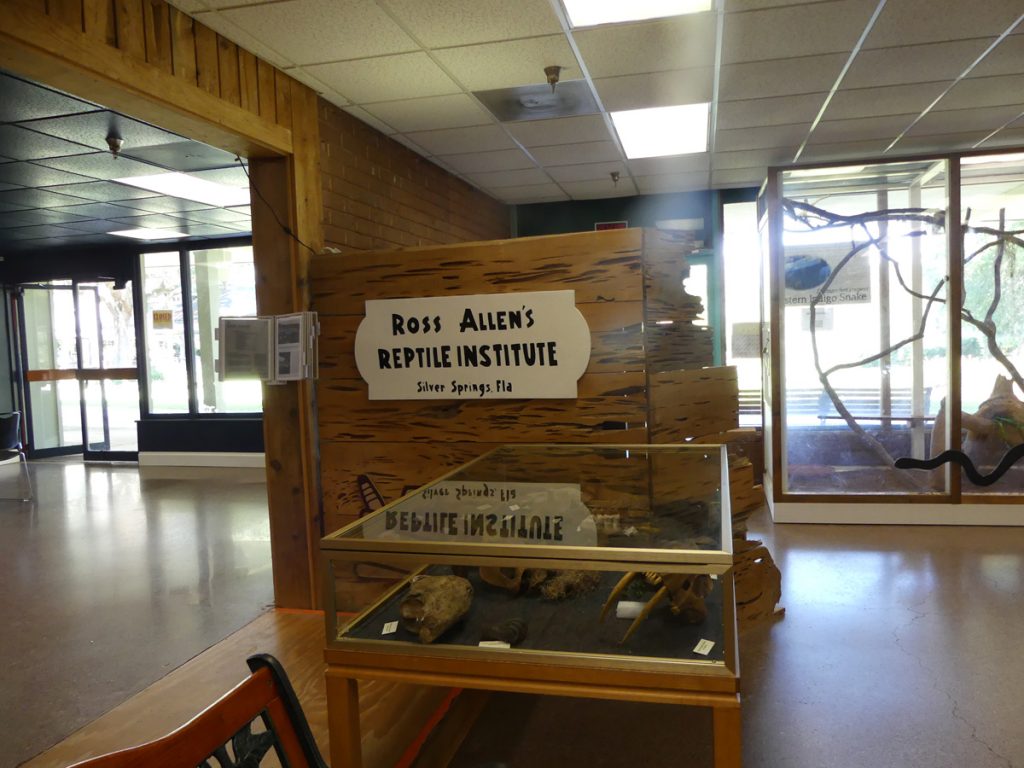 Ross Allen Exhibit at Silver Springs. Photo: Kathleen Walls