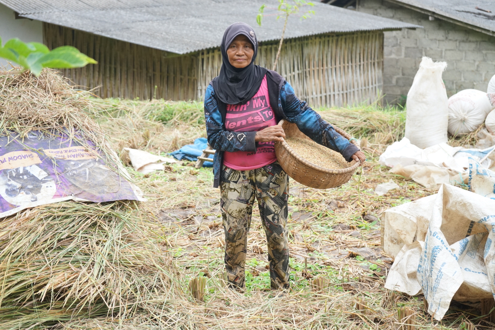 Woman farmer in Licin