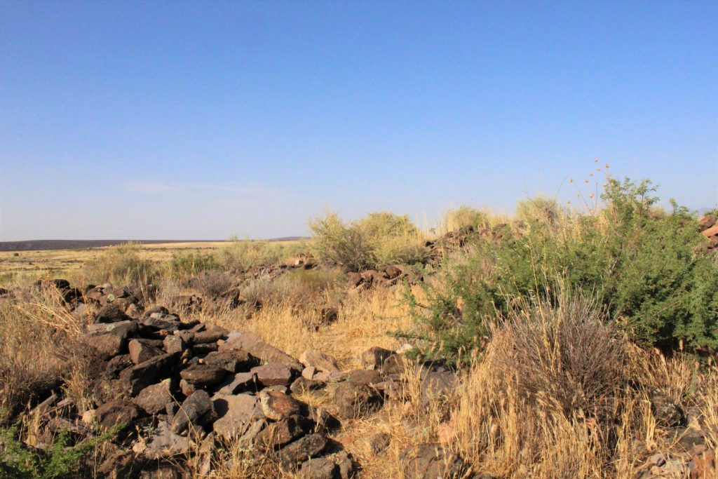 Discovery at Pile of rocks at Agua Fria National Monument. Photo: Breana Johnson