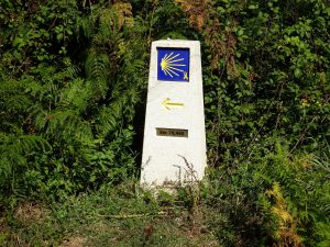 A directional sign on the Camino pointing the way