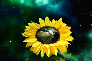 Earth embedded in a beautiful sunflower is a reminder about eco-friendly travel as an imperative.