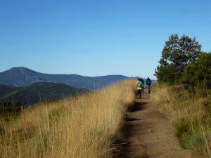 Going the way of St. James along the Camino