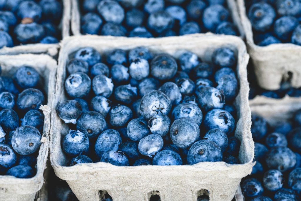 Agritourism - Basket of blueberries