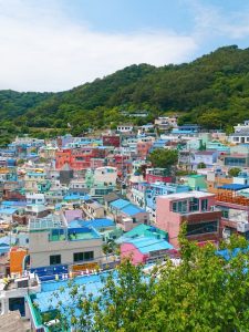 Birds eye view of Busan, South Korea. Photo: Rose Munday