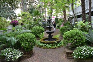 Savannah, Georgia garden