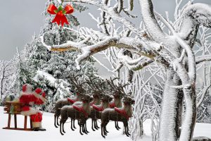 Santa with Reindeer preparing for Chrismas