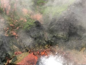 A boiling thermal pool--one of many throughout Iceland. Photo: Tonya Fitzpatrick
