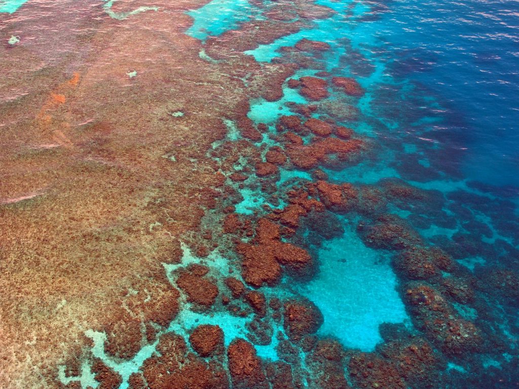 Climate Change - Great Barrier Reef