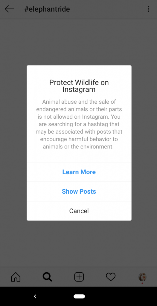 Elephant ride post on Instagram warning about animal tourism