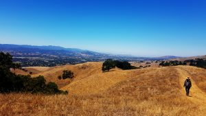 California Hike. Photo: Torrance McCartney