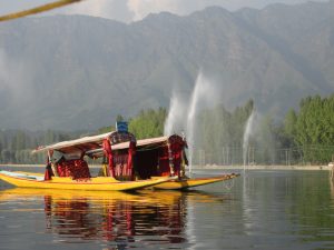 Shikara on Dal Lake, Srinagar. Photo: Manali Shah