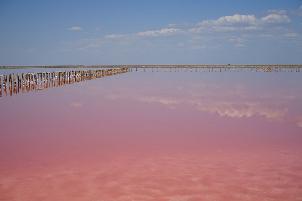 Mirror of Pink Lake. Photo: Alona Tiunina