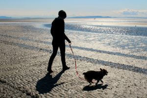beach-woman-and-dog
